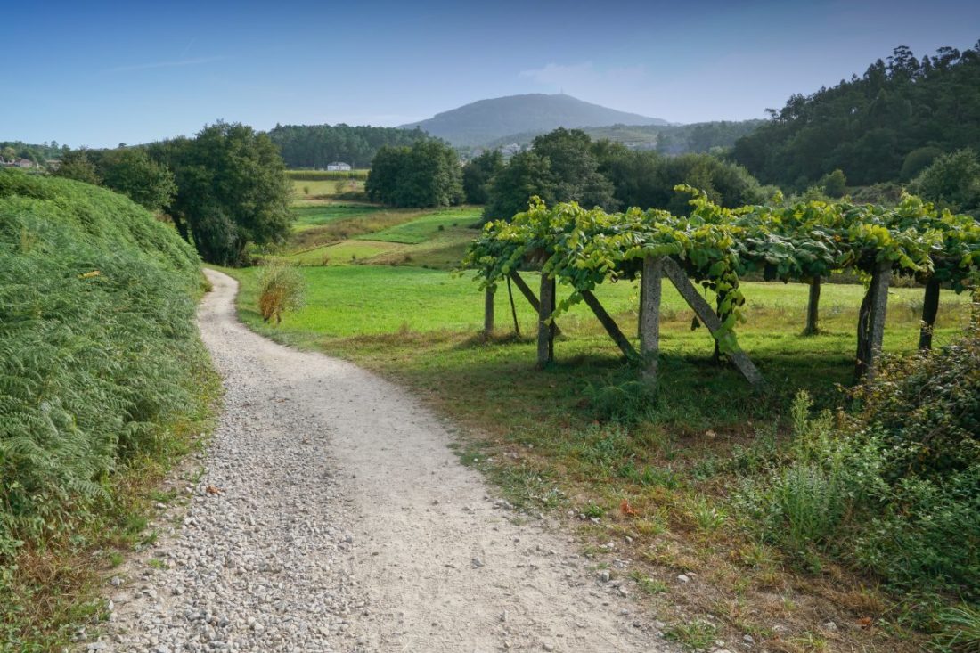 Vandring fra Portugal Den Portugisiske Camino: ’Fra Tui til Santiago og Finisterra’ - Afrejse den 13.-20. juni 2025
