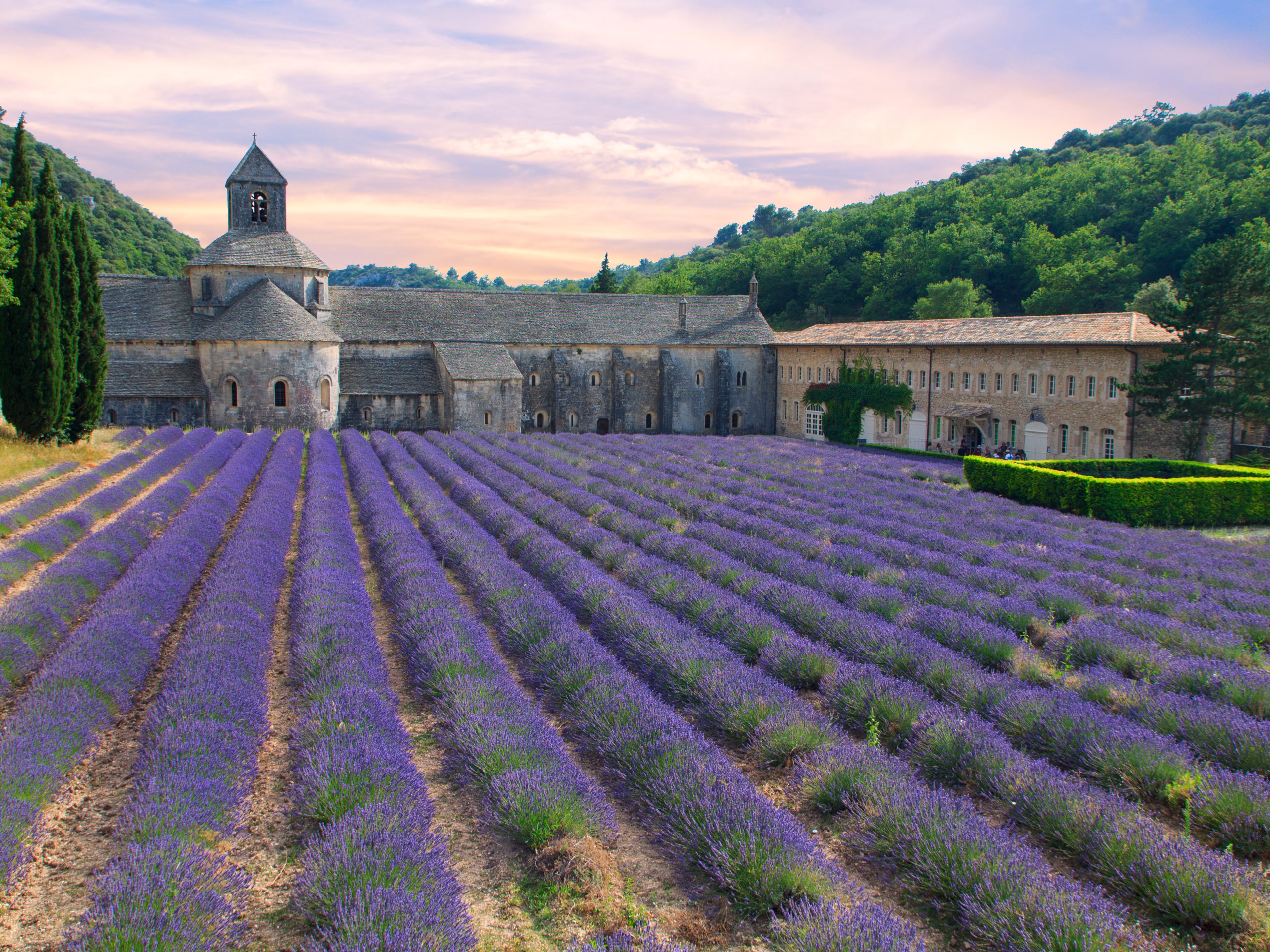 Spirituel Rejse I Frankrig: Klosteret Og Lavendelmarken