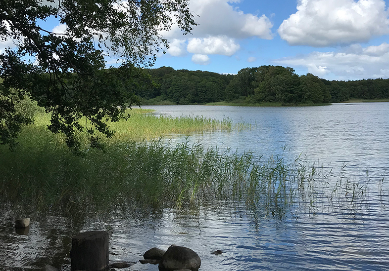 Gralsvandring – Gurre Sø, Nordsjælland ”Vækkelse Af Det Feminine”