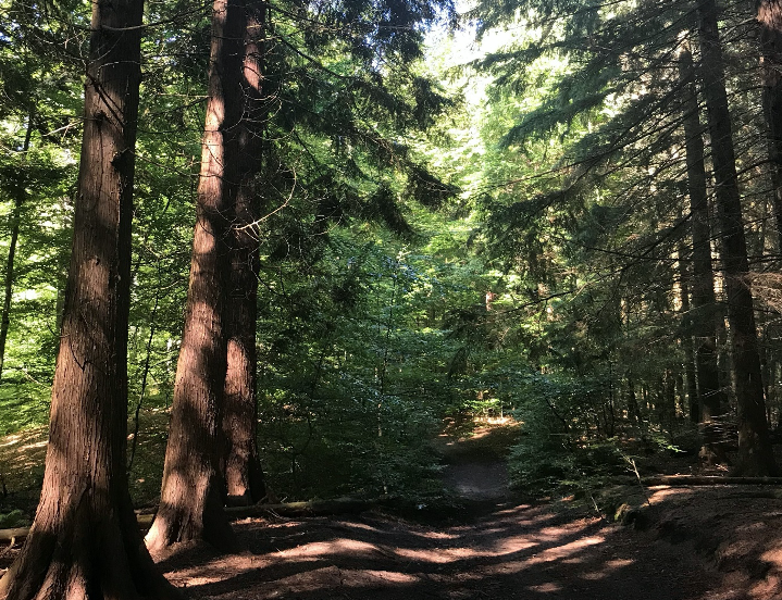 Gralsvandring – Nordsjælland “At Drage I ørkenen”