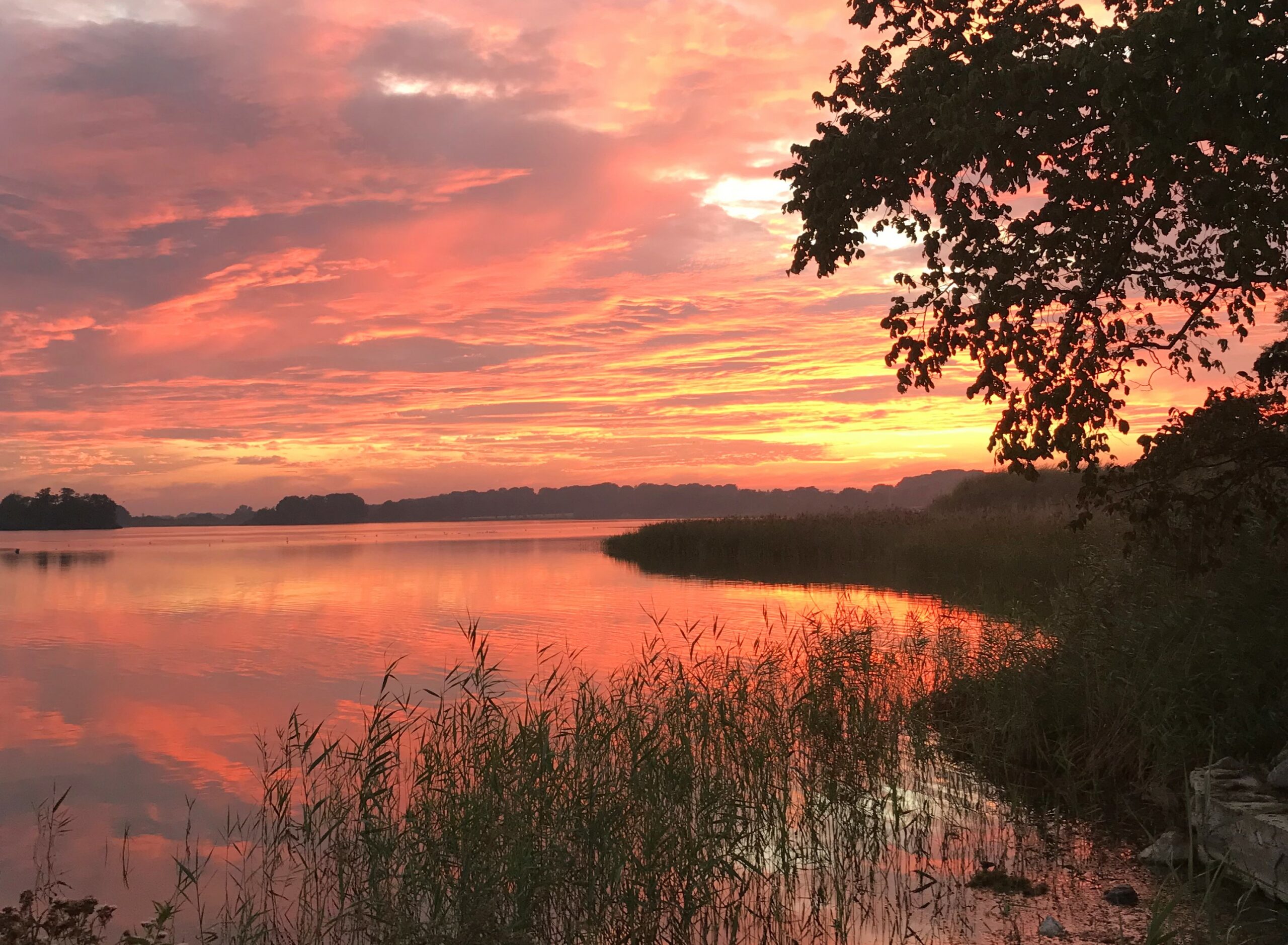 Klosterophold – ”Duen I Stenen”